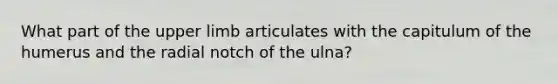 What part of the upper limb articulates with the capitulum of the humerus and the radial notch of the ulna?