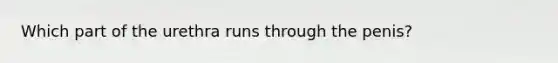 Which part of the urethra runs through the penis?