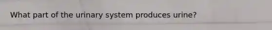 What part of the urinary system produces urine?