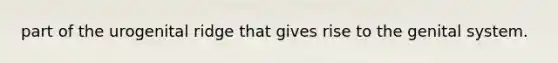 part of the urogenital ridge that gives rise to the genital system.