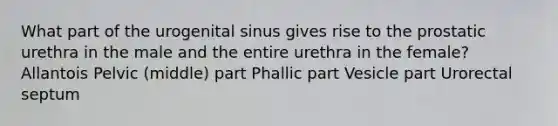 What part of the urogenital sinus gives rise to the prostatic urethra in the male and the entire urethra in the female? Allantois Pelvic (middle) part Phallic part Vesicle part Urorectal septum