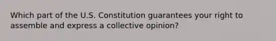 Which part of the U.S. Constitution guarantees your right to assemble and express a collective opinion?