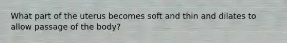 What part of the uterus becomes soft and thin and dilates to allow passage of the body?