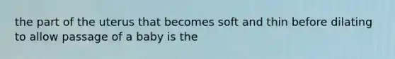 the part of the uterus that becomes soft and thin before dilating to allow passage of a baby is the