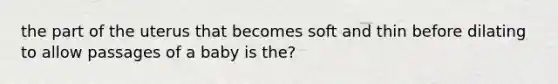 the part of the uterus that becomes soft and thin before dilating to allow passages of a baby is the?