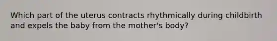 Which part of the uterus contracts rhythmically during childbirth and expels the baby from the mother's body?