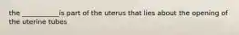 the ___________is part of the uterus that lies about the opening of the uterine tubes