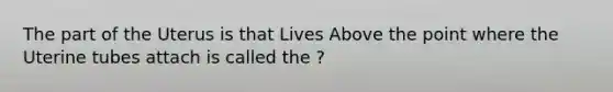 The part of the Uterus is that Lives Above the point where the Uterine tubes attach is called the ?