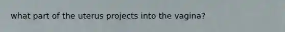 what part of the uterus projects into the vagina?