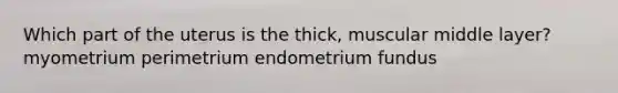 Which part of the uterus is the thick, muscular middle layer? myometrium perimetrium endometrium fundus