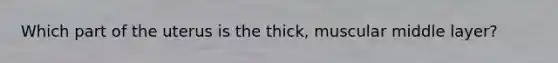 Which part of the uterus is the thick, muscular middle layer?