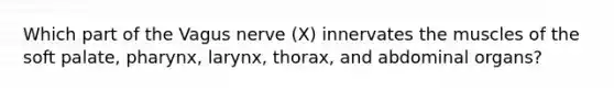 Which part of the Vagus nerve (X) innervates the muscles of the soft palate, pharynx, larynx, thorax, and abdominal organs?