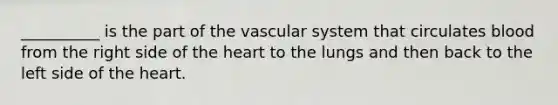 __________ is the part of the vascular system that circulates blood from the right side of the heart to the lungs and then back to the left side of the heart.