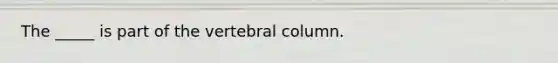 The _____ is part of the vertebral column.