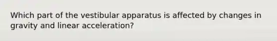 Which part of the vestibular apparatus is affected by changes in gravity and linear acceleration?