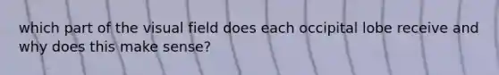 which part of the visual field does each occipital lobe receive and why does this make sense?