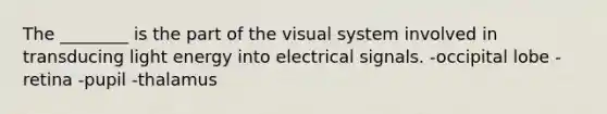 The ________ is the part of the visual system involved in transducing light energy into electrical signals. -occipital lobe -retina -pupil -thalamus