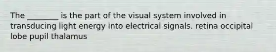 The ________ is the part of the visual system involved in transducing light energy into electrical signals. retina occipital lobe pupil thalamus