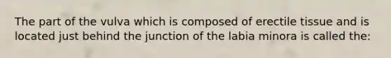 The part of the vulva which is composed of erectile tissue and is located just behind the junction of the labia minora is called the: