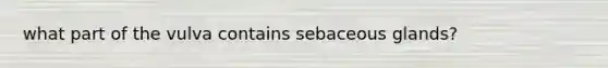 what part of the vulva contains sebaceous glands?