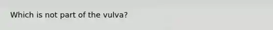 Which is not part of the vulva?