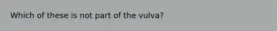 Which of these is not part of the vulva?