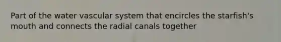 Part of the water vascular system that encircles the starfish's mouth and connects the radial canals together