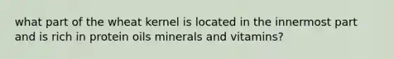 what part of the wheat kernel is located in the innermost part and is rich in protein oils minerals and vitamins?