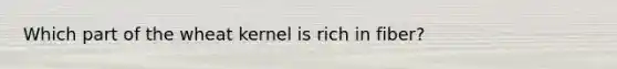 Which part of the wheat kernel is rich in fiber?