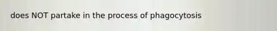 does NOT partake in the process of phagocytosis