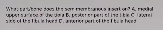 What part/bone does the semimembranous insert on? A. medial upper surface of the tibia B. posterior part of the tibia C. lateral side of the fibula head D. anterior part of the fibula head