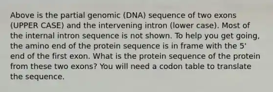 Above is the partial genomic (DNA) sequence of two exons (UPPER CASE) and the intervening intron (lower case). Most of the internal intron sequence is not shown. To help you get going, the amino end of the protein sequence is in frame with the 5' end of the first exon. What is the protein sequence of the protein from these two exons? You will need a codon table to translate the sequence.