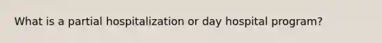 What is a partial hospitalization or day hospital program?