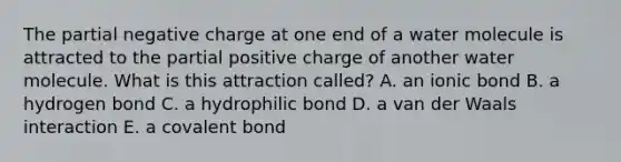 The partial negative charge at one end of a water molecule is attracted to the partial positive charge of another water molecule. What is this attraction called? A. an ionic bond B. a hydrogen bond C. a hydrophilic bond D. a van der Waals interaction E. a covalent bond