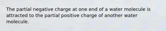 The partial negative charge at one end of a water molecule is attracted to the partial positive charge of another water molecule.