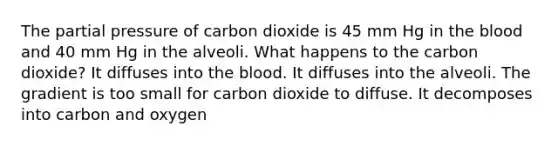 The partial pressure of carbon dioxide is 45 mm Hg in the blood and 40 mm Hg in the alveoli. What happens to the carbon dioxide? It diffuses into the blood. It diffuses into the alveoli. The gradient is too small for carbon dioxide to diffuse. It decomposes into carbon and oxygen