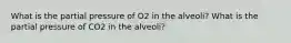 What is the partial pressure of O2 in the alveoli? What is the partial pressure of CO2 in the alveoli?