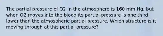 The partial pressure of O2 in the atmosphere is 160 mm Hg, but when O2 moves into <a href='https://www.questionai.com/knowledge/k7oXMfj7lk-the-blood' class='anchor-knowledge'>the blood</a> its partial pressure is one third lower than the atmospheric partial pressure. Which structure is it moving through at this partial pressure?