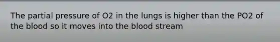 The partial pressure of O2 in the lungs is higher than the PO2 of the blood so it moves into the blood stream