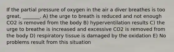 If the partial pressure of oxygen in the air a diver breathes is too great, _______. A) the urge to breath is reduced and not enough CO2 is removed from the body B) hyperventilation results C) the urge to breathe is increased and excessive CO2 is removed from the body D) respiratory tissue is damaged by the oxidation E) No problems result from this situation