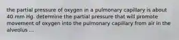 the partial pressure of oxygen in a pulmonary capillary is about 40 mm Hg. determine the partial pressure that will promote movement of oxygen into the pulmonary capillary from air in the alveolus ...