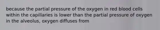 because the partial pressure of the oxygen in red blood cells within the capillaries is lower than the partial pressure of oxygen in the alveolus, oxygen diffuses from