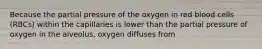 Because the partial pressure of the oxygen in red blood cells (RBCs) within the capillaries is lower than the partial pressure of oxygen in the alveolus, oxygen diffuses from