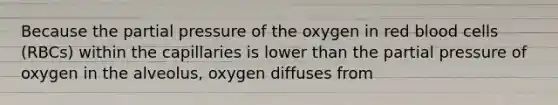 Because the partial pressure of the oxygen in red blood cells (RBCs) within the capillaries is lower than the partial pressure of oxygen in the alveolus, oxygen diffuses from