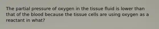 The partial pressure of oxygen in the tissue fluid is lower than that of <a href='https://www.questionai.com/knowledge/k7oXMfj7lk-the-blood' class='anchor-knowledge'>the blood</a> because the tissue cells are using oxygen as a reactant in what?