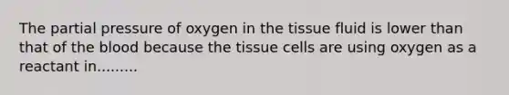 The partial pressure of oxygen in the tissue fluid is lower than that of <a href='https://www.questionai.com/knowledge/k7oXMfj7lk-the-blood' class='anchor-knowledge'>the blood</a> because the tissue cells are using oxygen as a reactant in.........