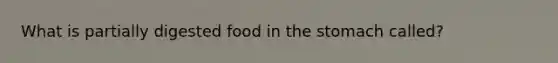 What is partially digested food in the stomach called?