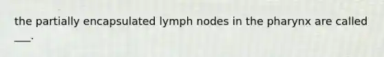 the partially encapsulated lymph nodes in the pharynx are called ___.