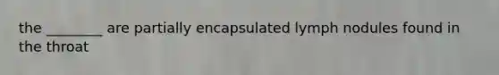 the ________ are partially encapsulated lymph nodules found in the throat