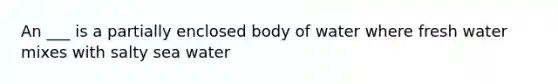 An ___ is a partially enclosed body of water where fresh water mixes with salty sea water